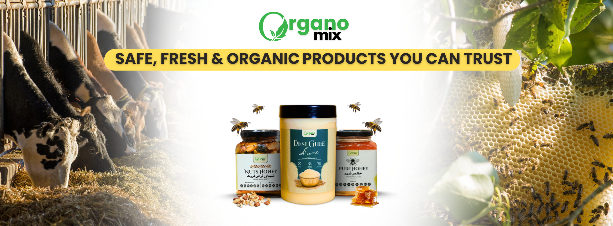 untitled design (58)